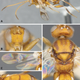 More views of Diolcogaster ichiroi. Images: ZooKeys